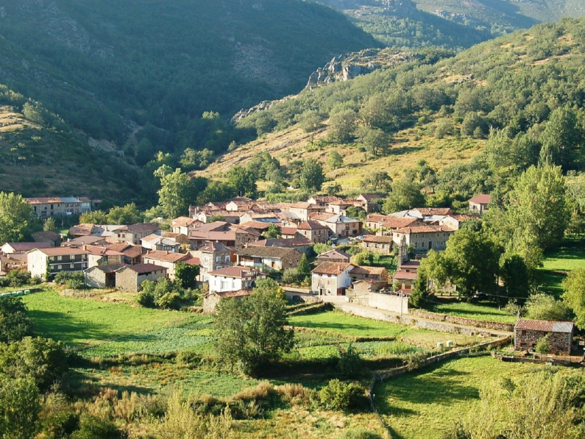 Foto