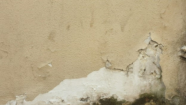 Imagen1