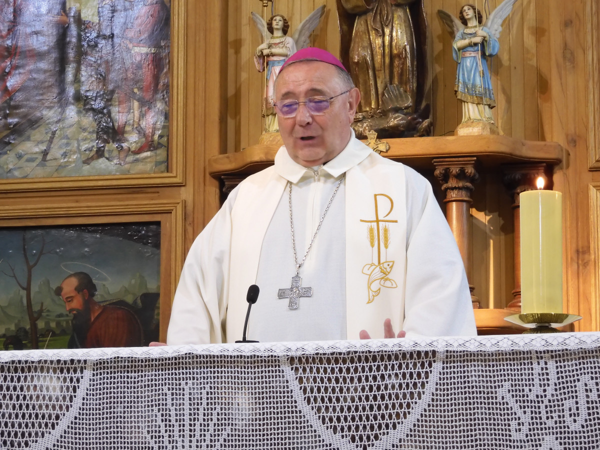 Inauguracion ermita de san roque villafrea de la reina (9)