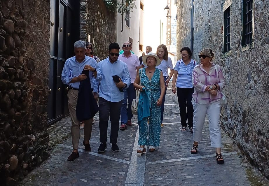 Comisión Patrimonio julio IV