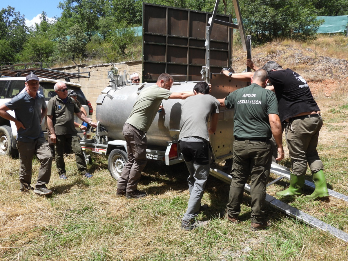 Traslado osezna cova recinto aclimantacion osos valsemana la ercina