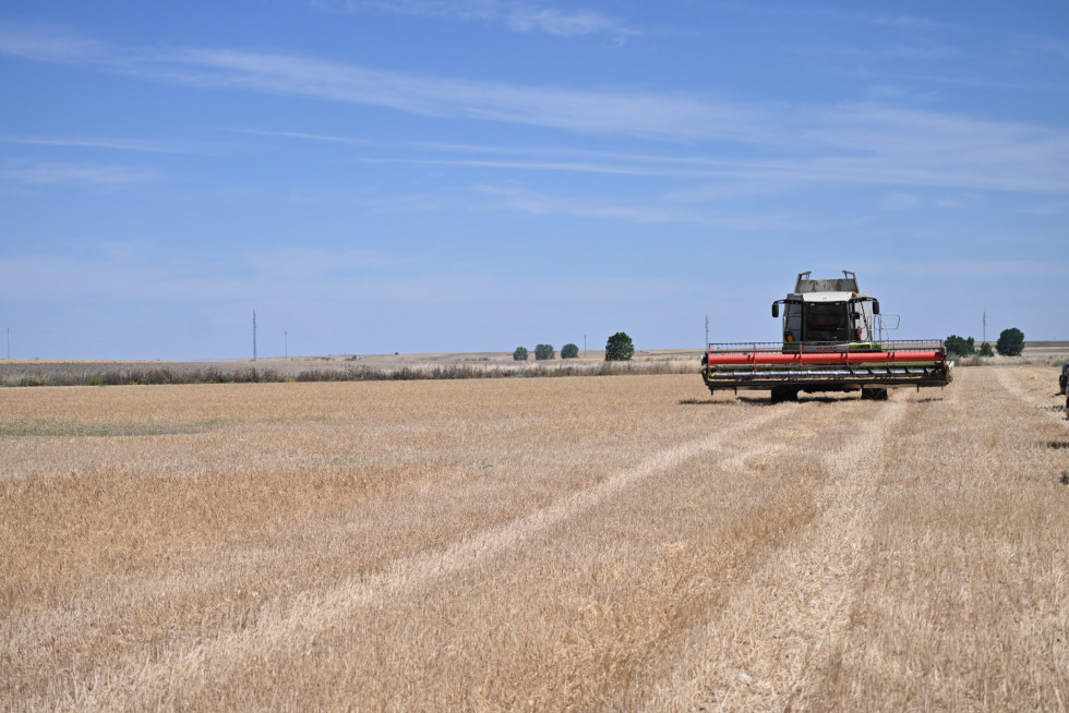 Agricultura jcyl