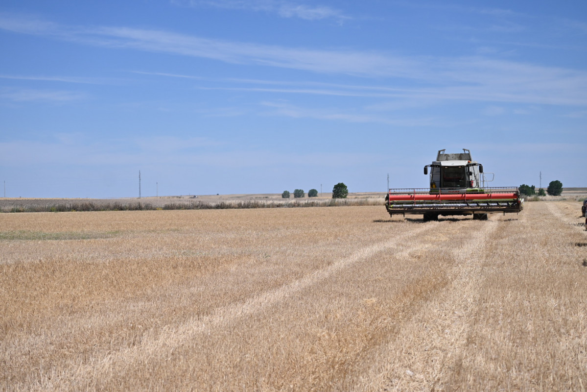 Agricultura jcyl