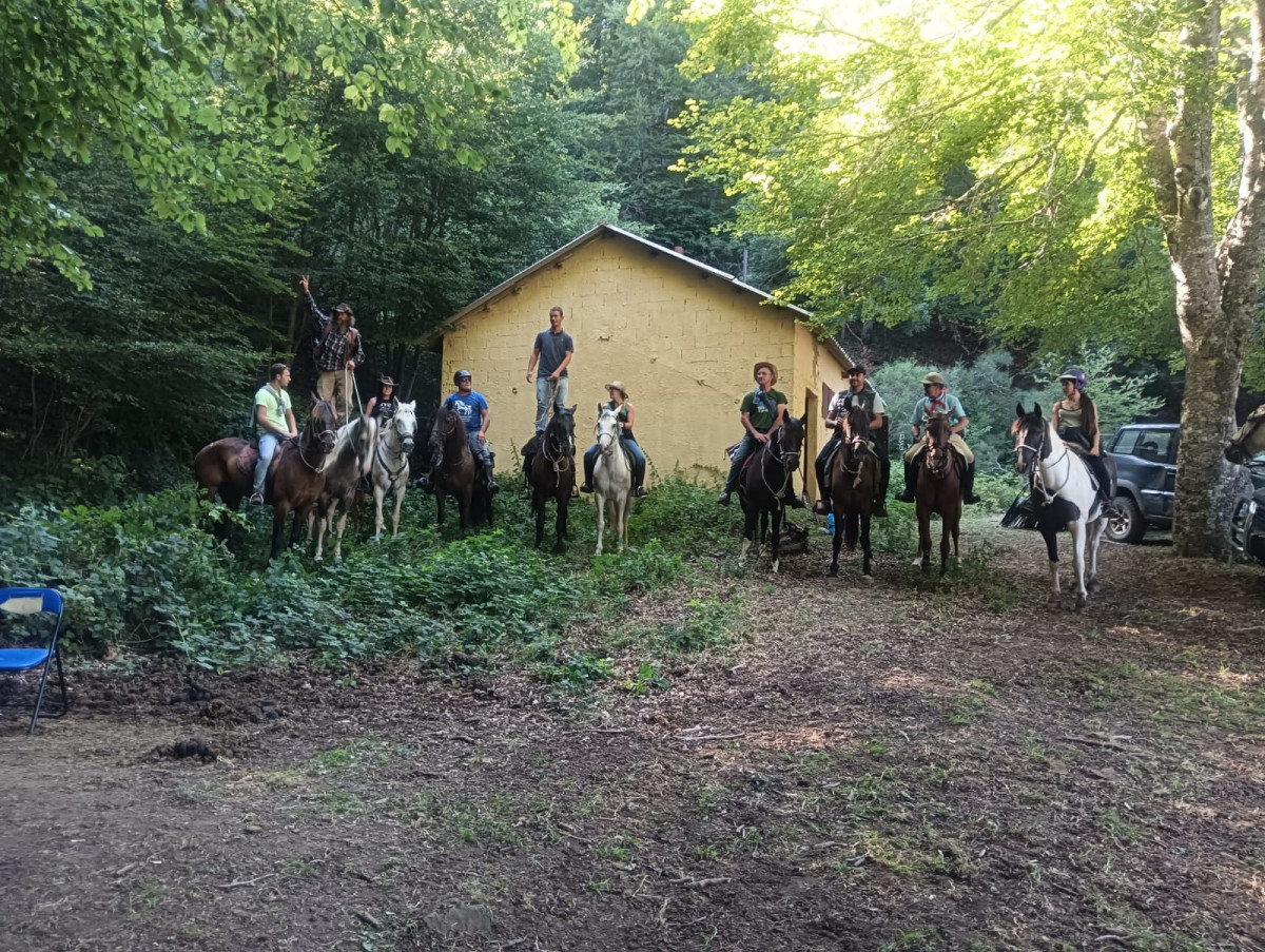 Concentracion de caballos CIT Barruelo y brau00f1osera