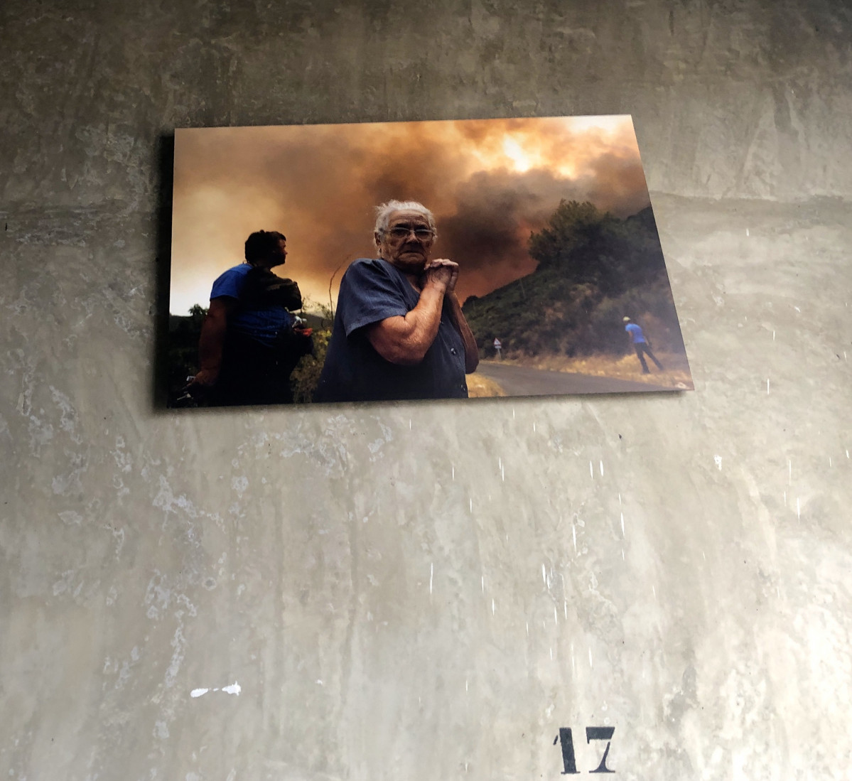 IMG 0775