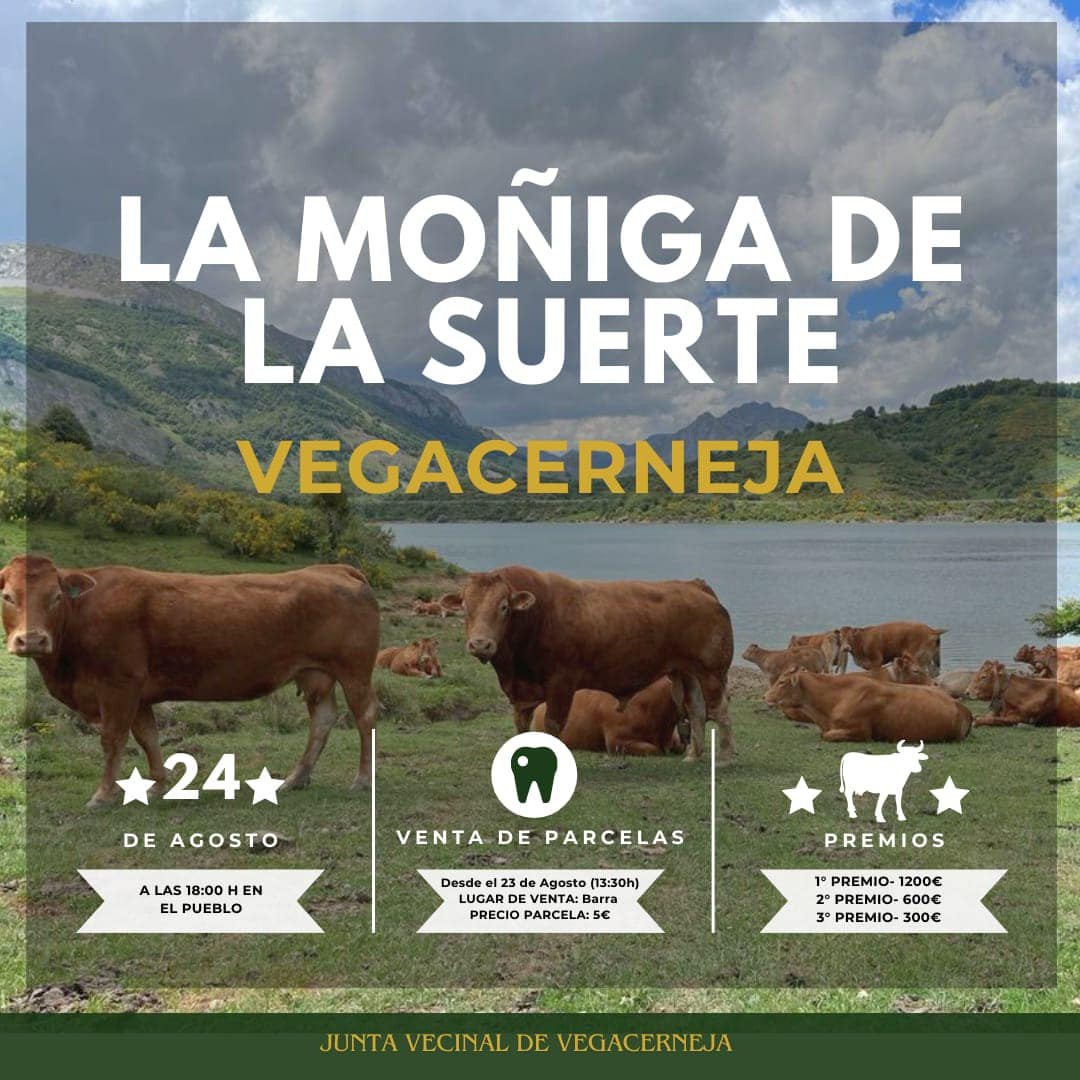 Cartel fiestas vergacerneja 2024 (2)