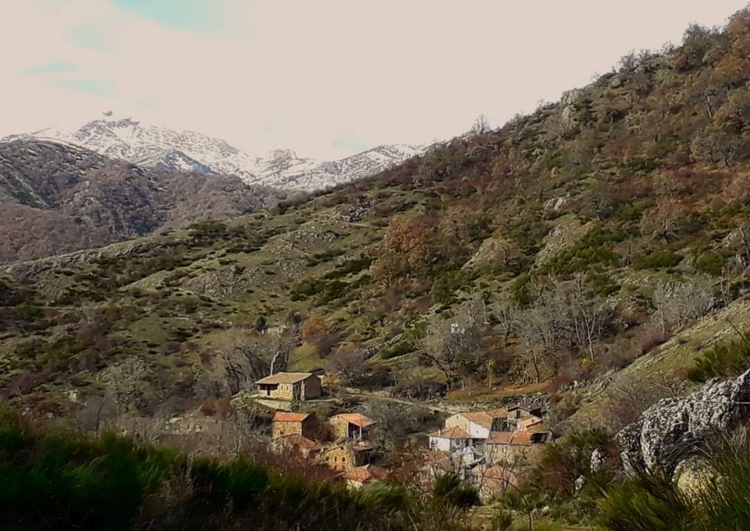 La Red de Valdetuejar