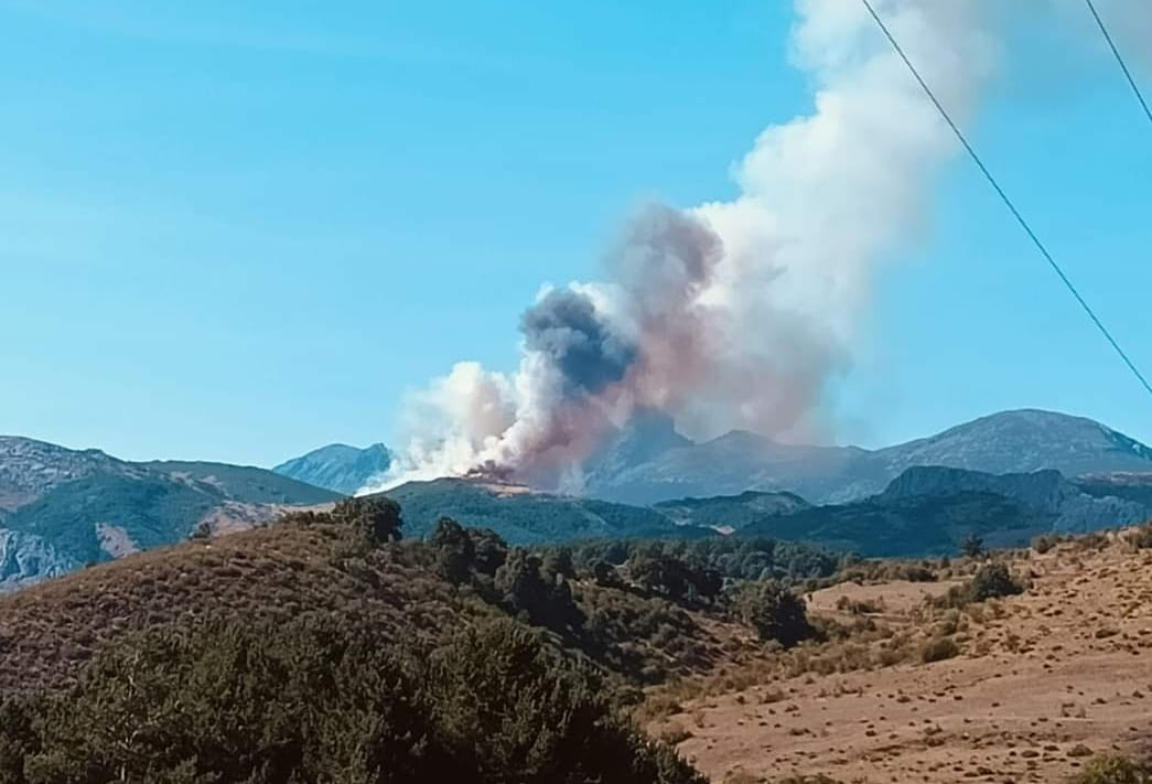 Incendio montau00f1a palentina