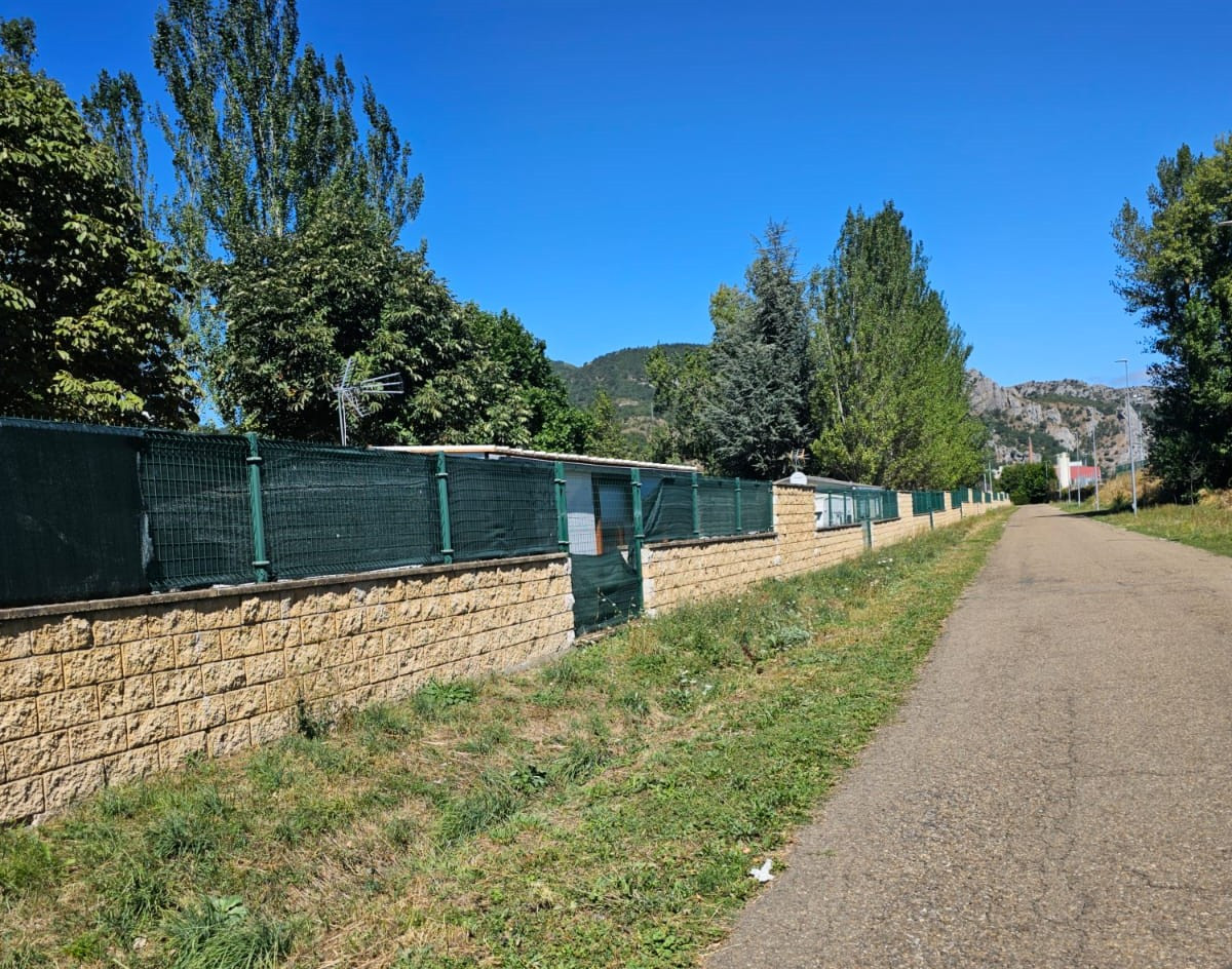 Calle polideportivo cistierna
