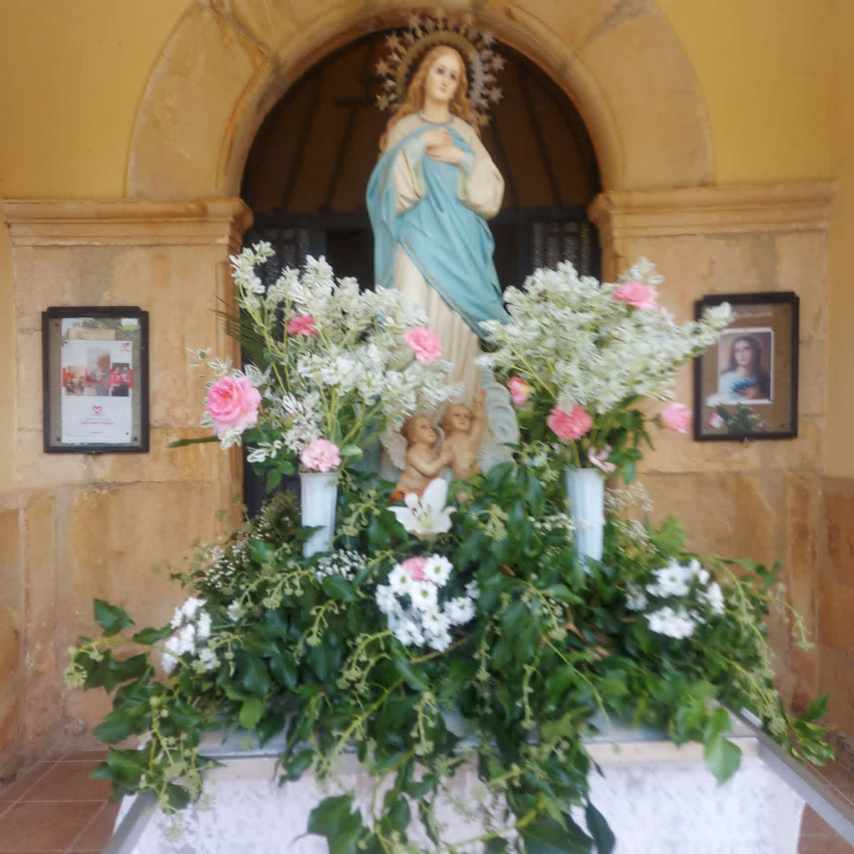 Procesion Virgen del Somerado la losilla y san adrian (3)