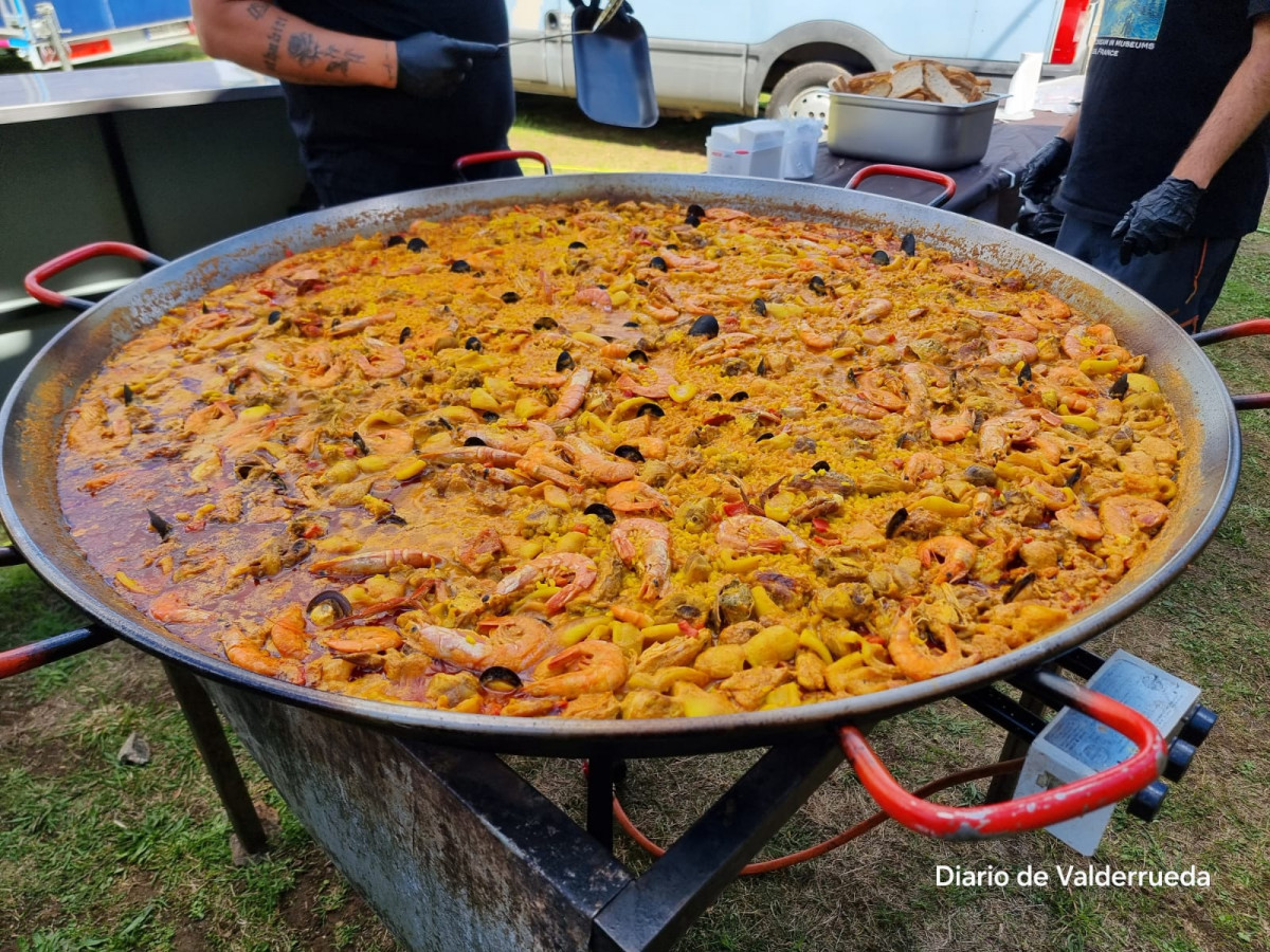 Romeria virgen de vega valderrueda 2024 (5)