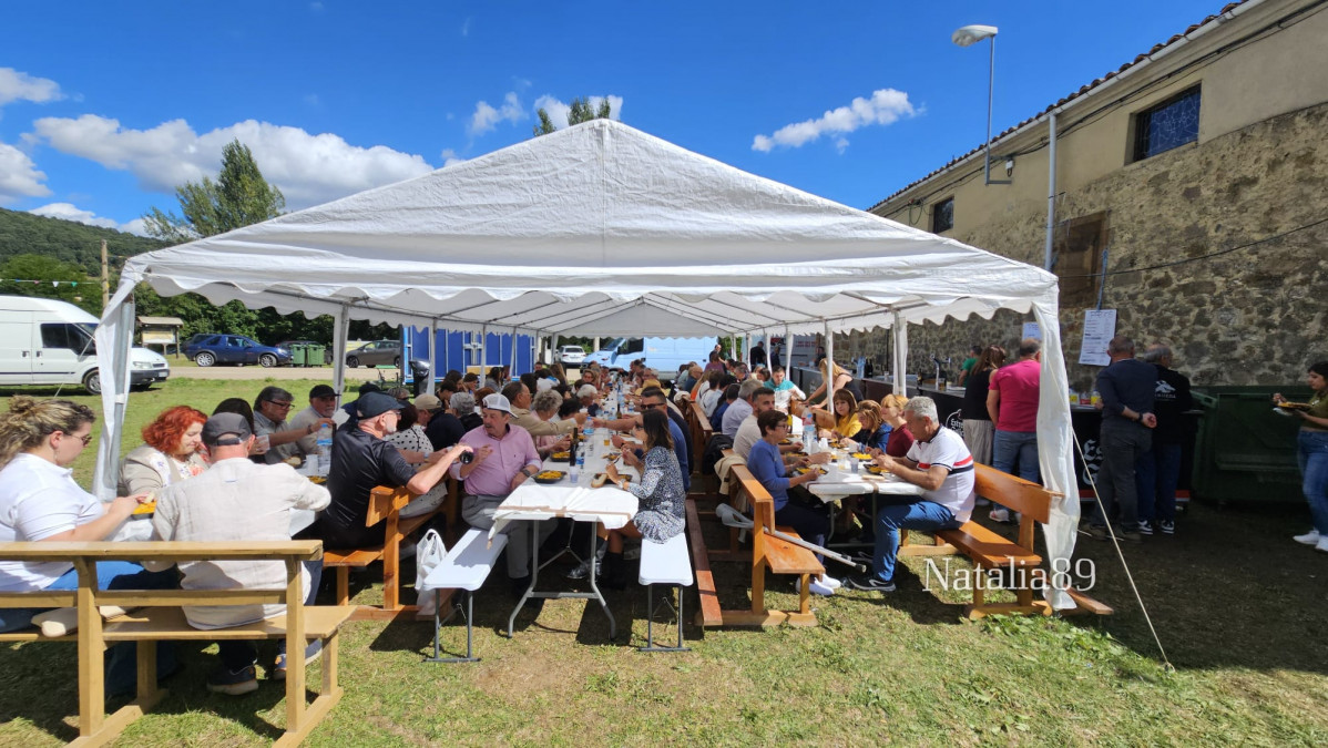 Romeria virgen de vega valderrueda 2024 (43)