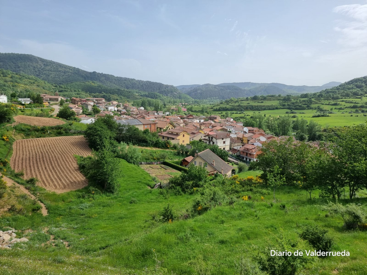 Prioro Verano 2024 ddv 2
