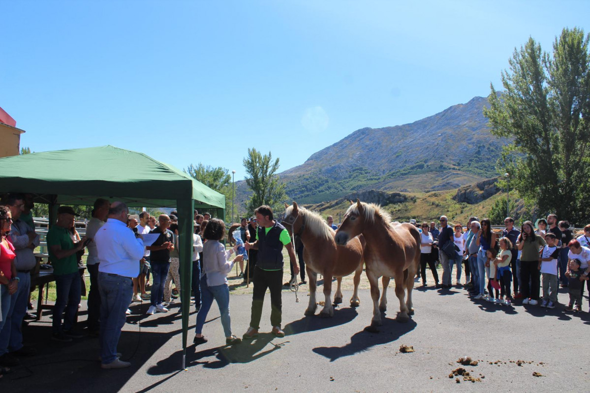 Concurso exposicion de ganado de montau00f1a 2024 puebla de lillo (24)