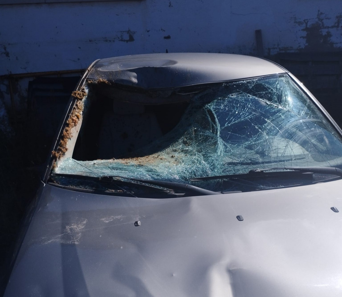 Dau00f1os coche accidente caballo palazuelo de bou00f1ar