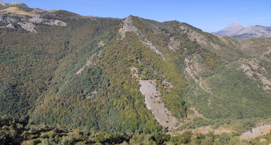 Ruta gigante del valle estrecho (2)