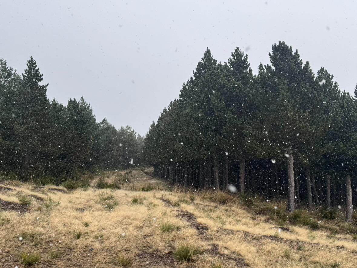 Primera nevada otou00f1o 2024 montau00f1a palentina