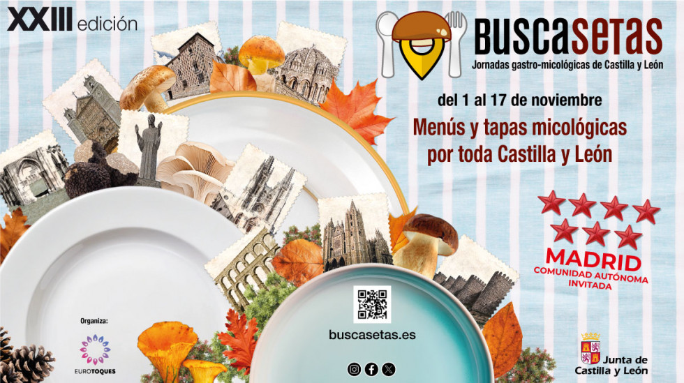 Jornadas gastro micologicas buscasetas