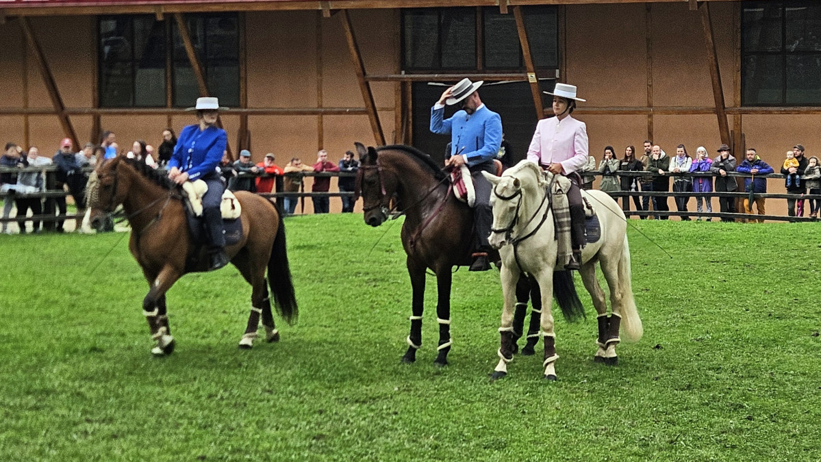 Feria de los Picos Valdeon 2024 23