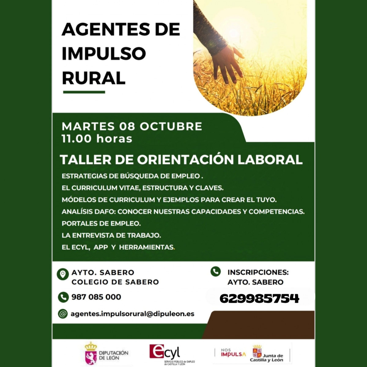 Taller orientacion laboral