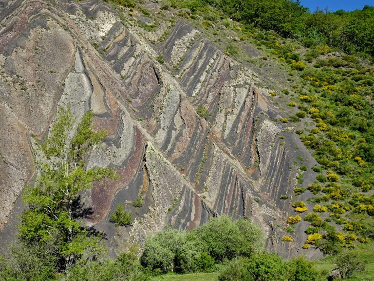 Ribero Pintado (5)