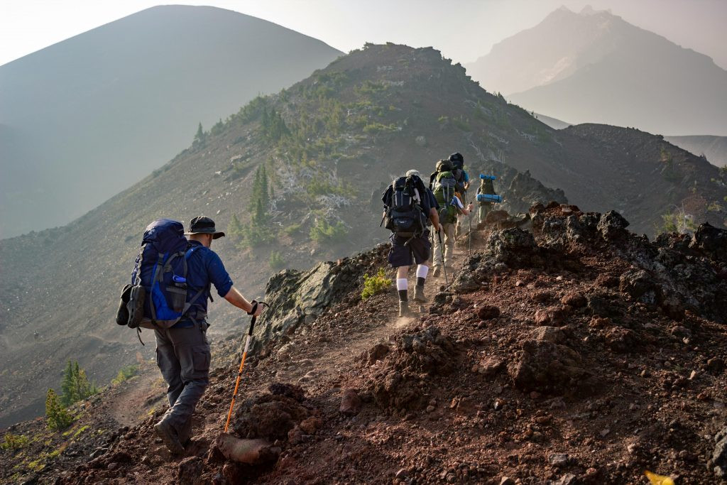 Pico catoute   ULE