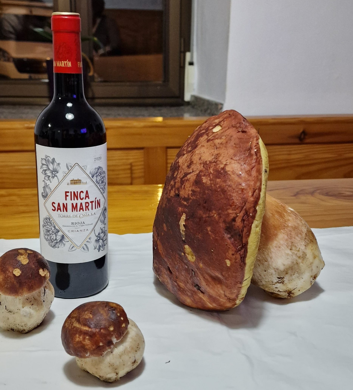 Boletus 1,4 kilos san feliz de las lavanderas (3)
