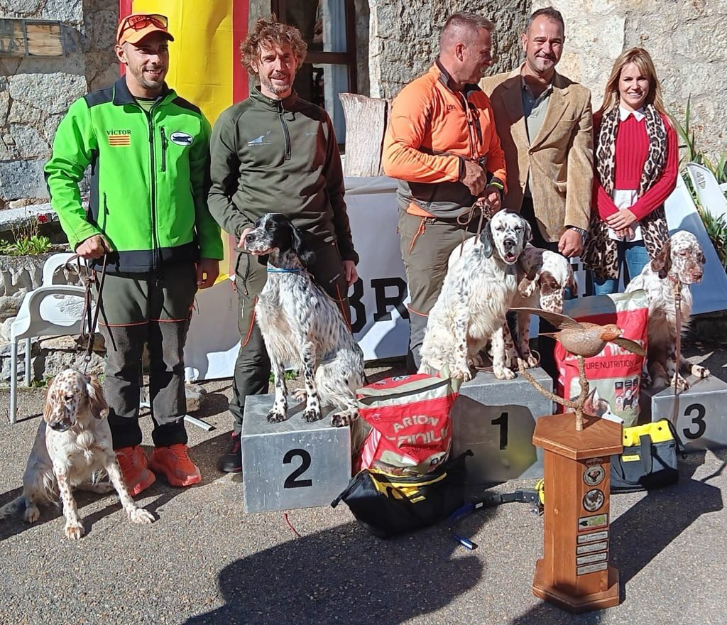 Campeonato de espau00f1a de perros de muestra llanaves 2024