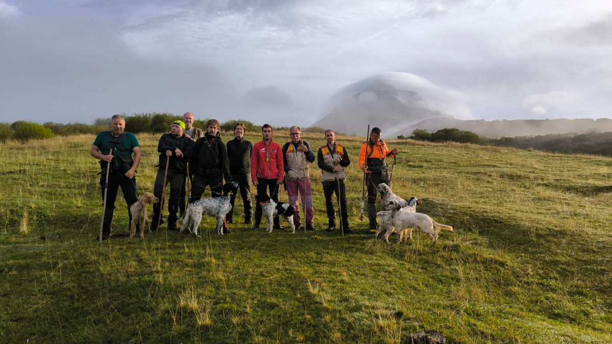 Campeonato de espau00f1a de perros de muestra llanaves 2024 (2)