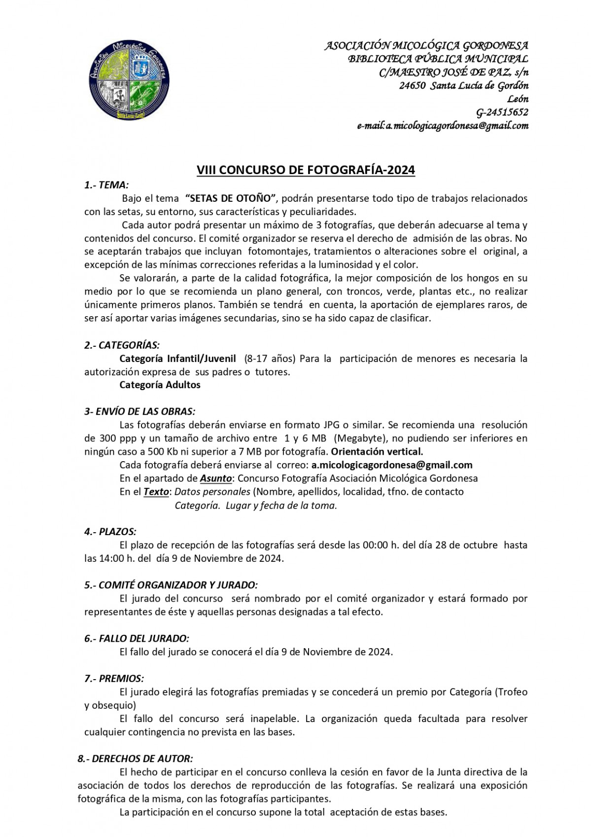 Bases concurso de fotografia setas
