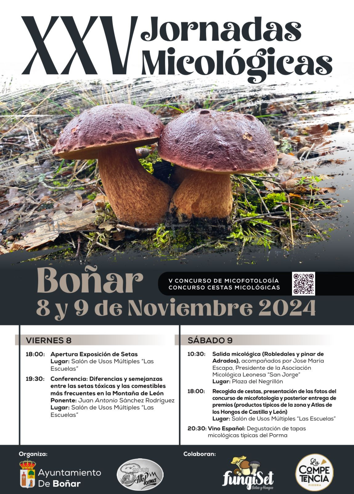 Cartel jornadas micologicas 2024 bou00f1ar