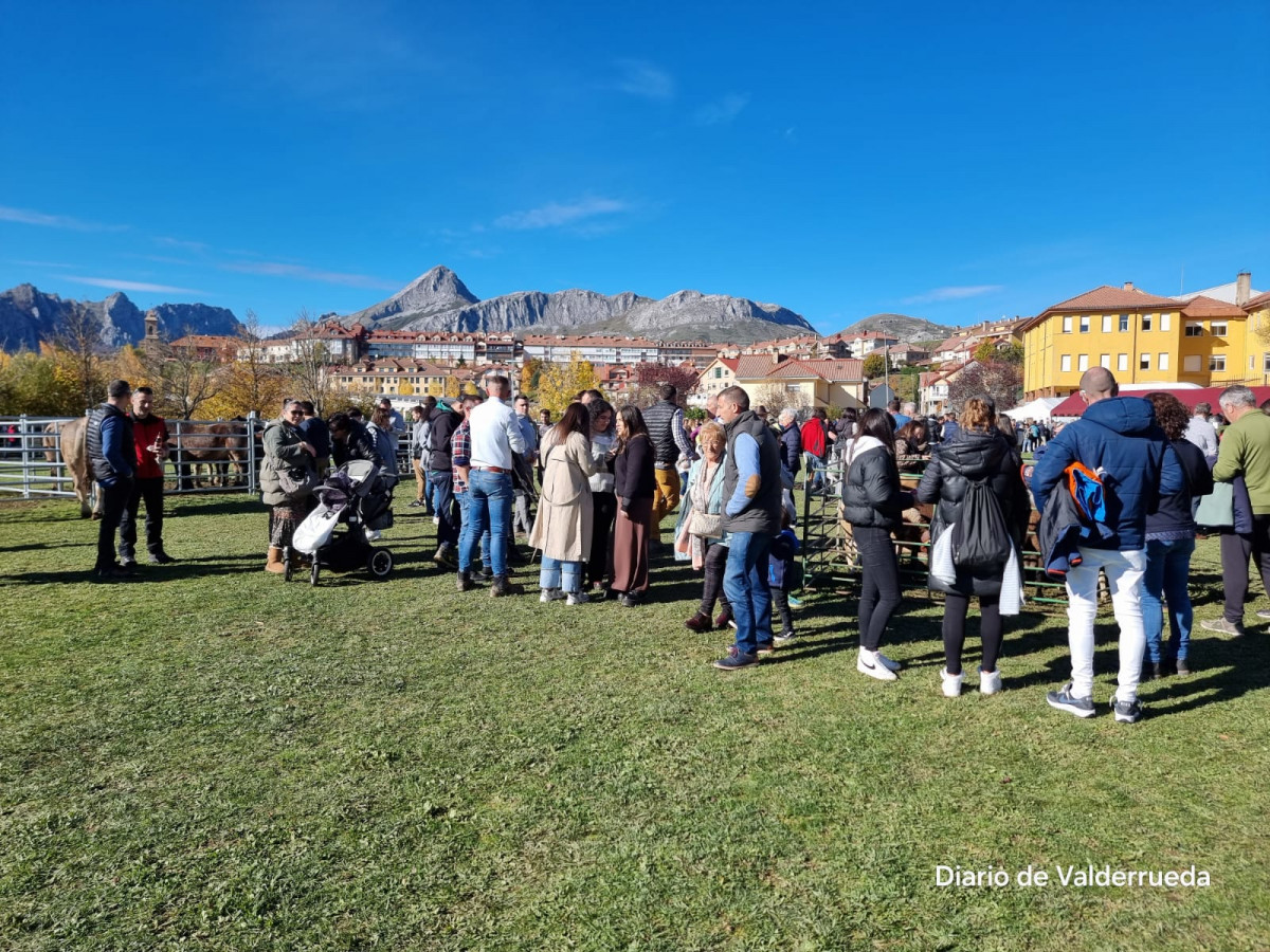 Feria de riaño 2024 (18)