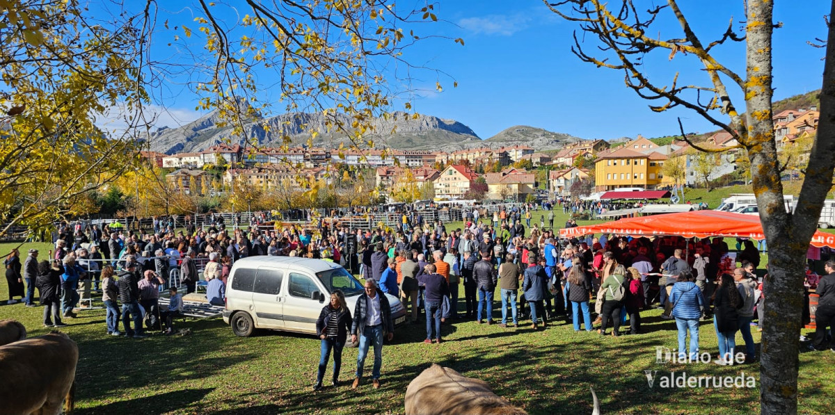 Feria de riau00f1o 2024