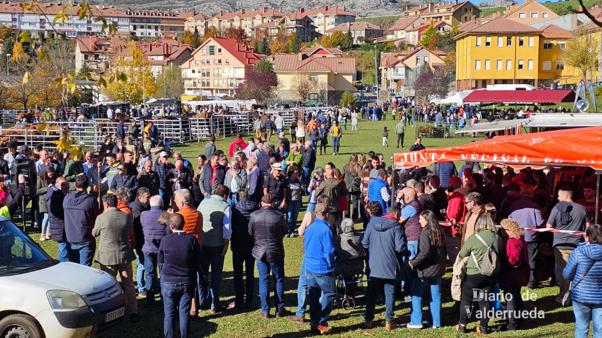 Feria de riau00f1o 2024 (7)