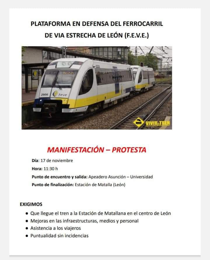 Manifestacion feve cartel