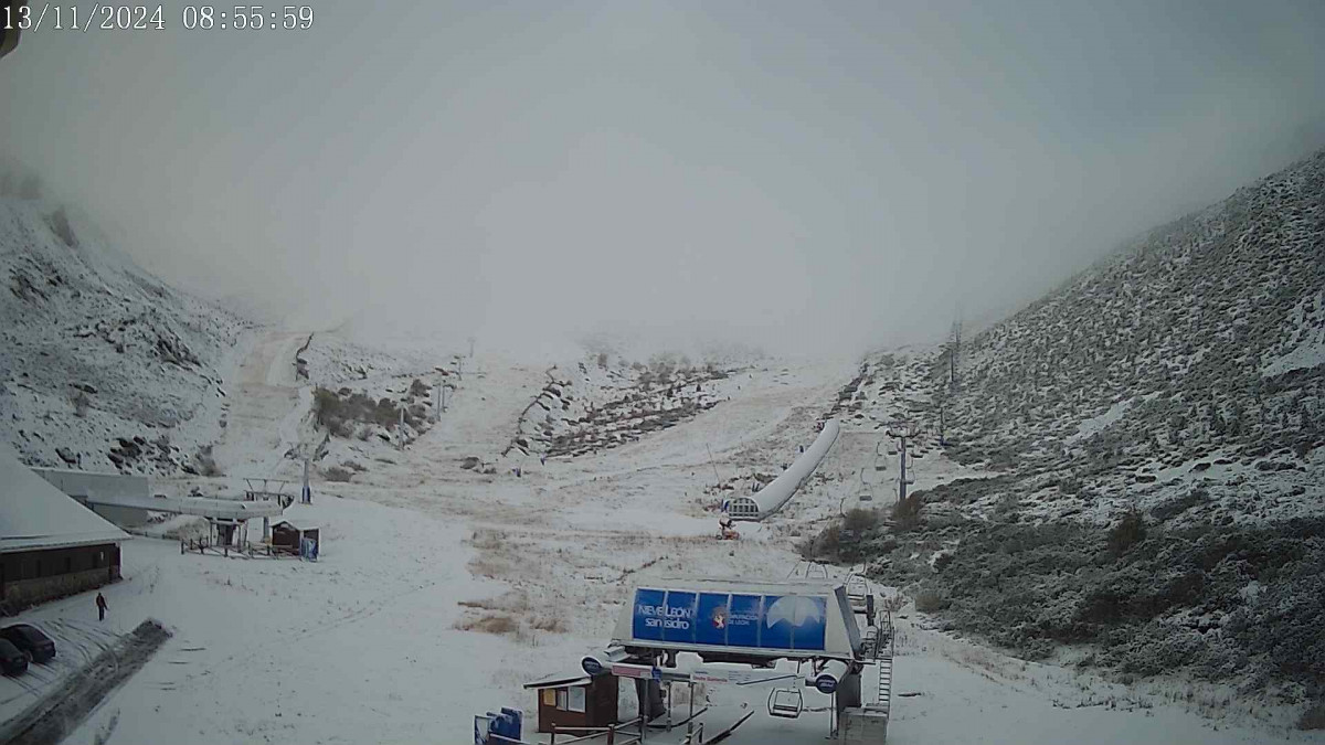 CebolledoI (1)