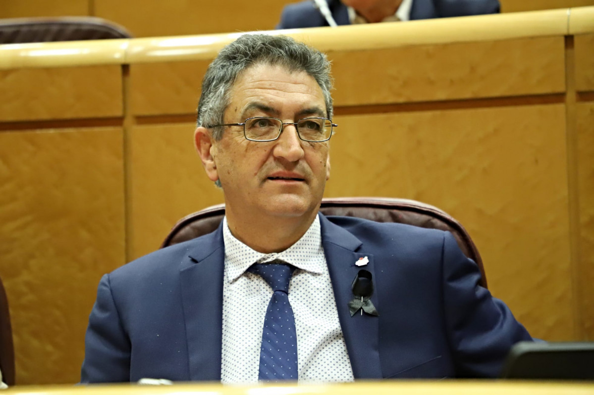 Salvador Vidal senador leones PSOE