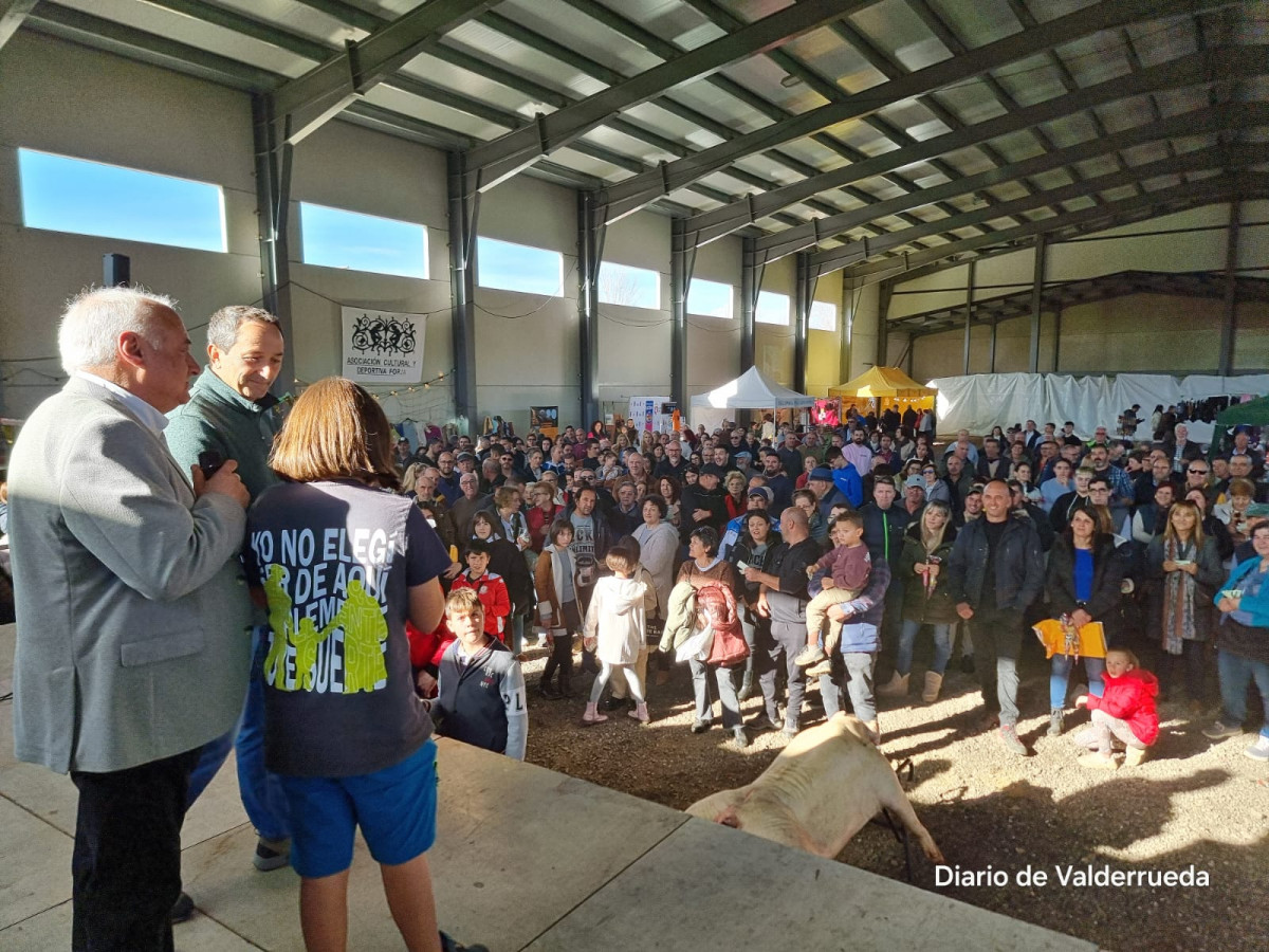 Feria puente almuhey 2024 DDV 47