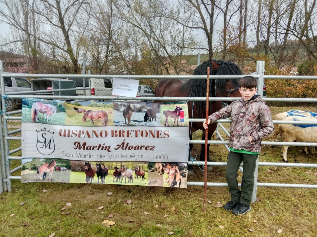 Martin alvarez  niu00f1o ganadero san martin de valdetuejar