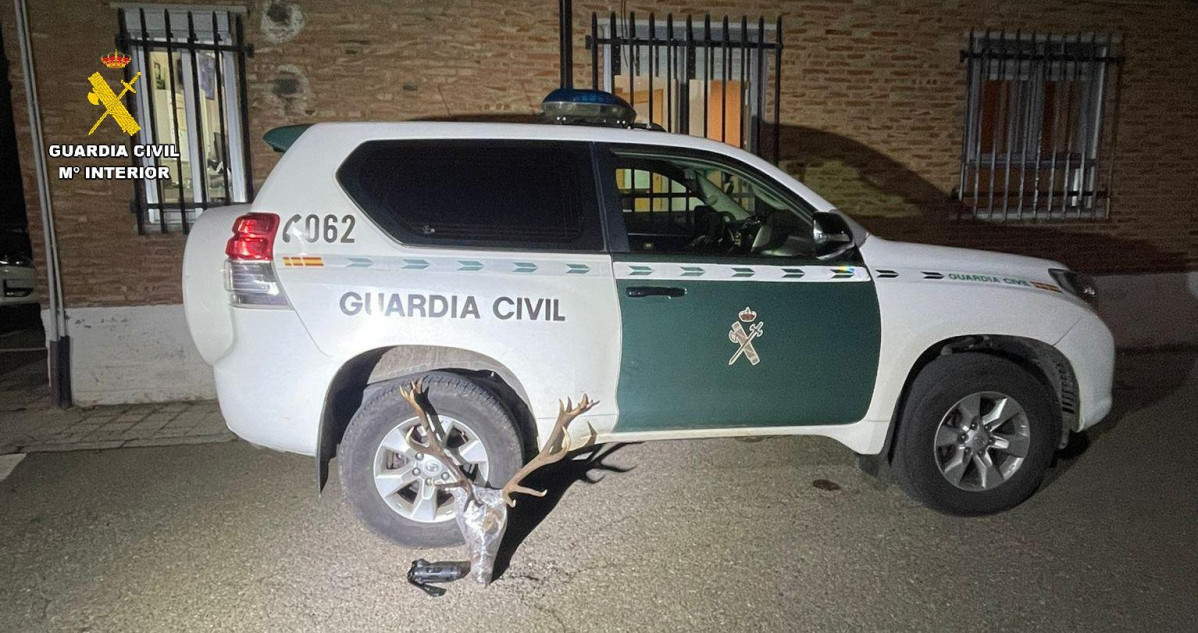 Cabeza de venado mantinos guardia civil