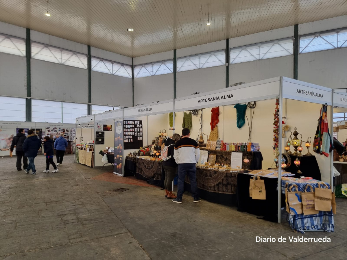 Feria de santa catalina 2024 cistierna (14)