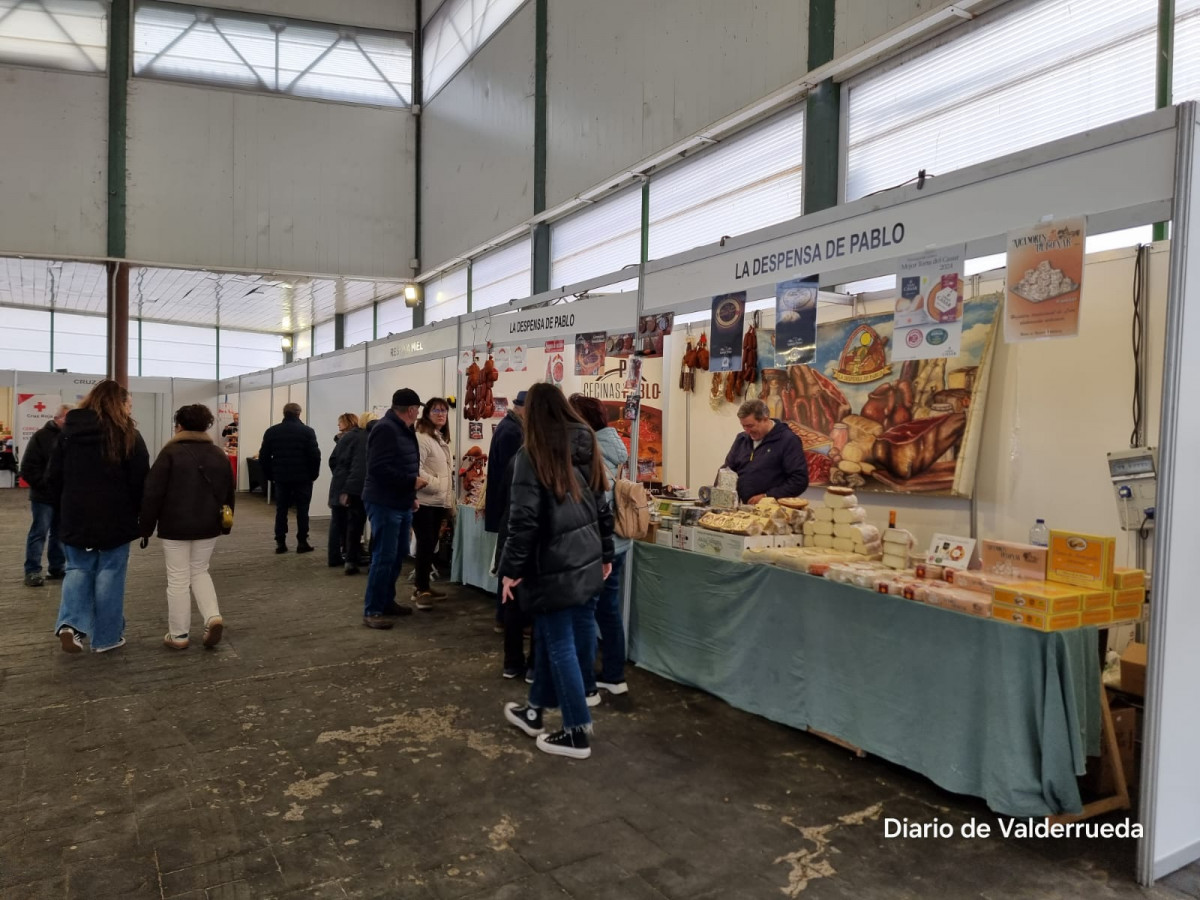 Feria de santa catalina 2024 cistierna (20)