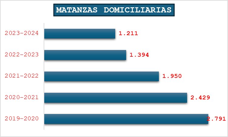 Imagen1