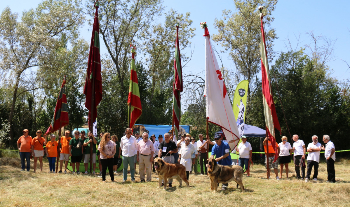 MEJOR MACHO y MEJOR HEMBRA en el concurso de FRESNO DEL CAMINO