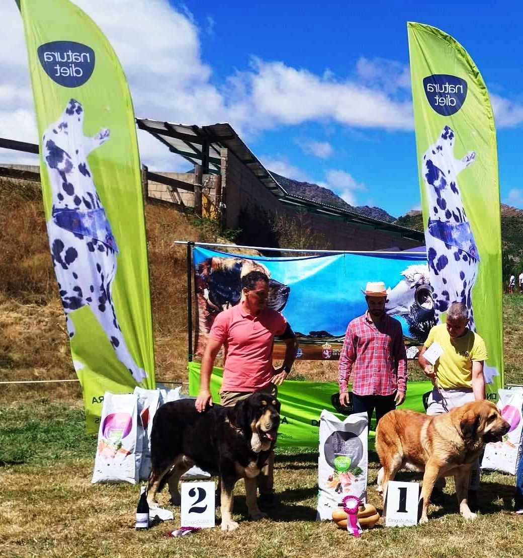 AM 1º y 2º en el concurso de SAN EMEILIANO