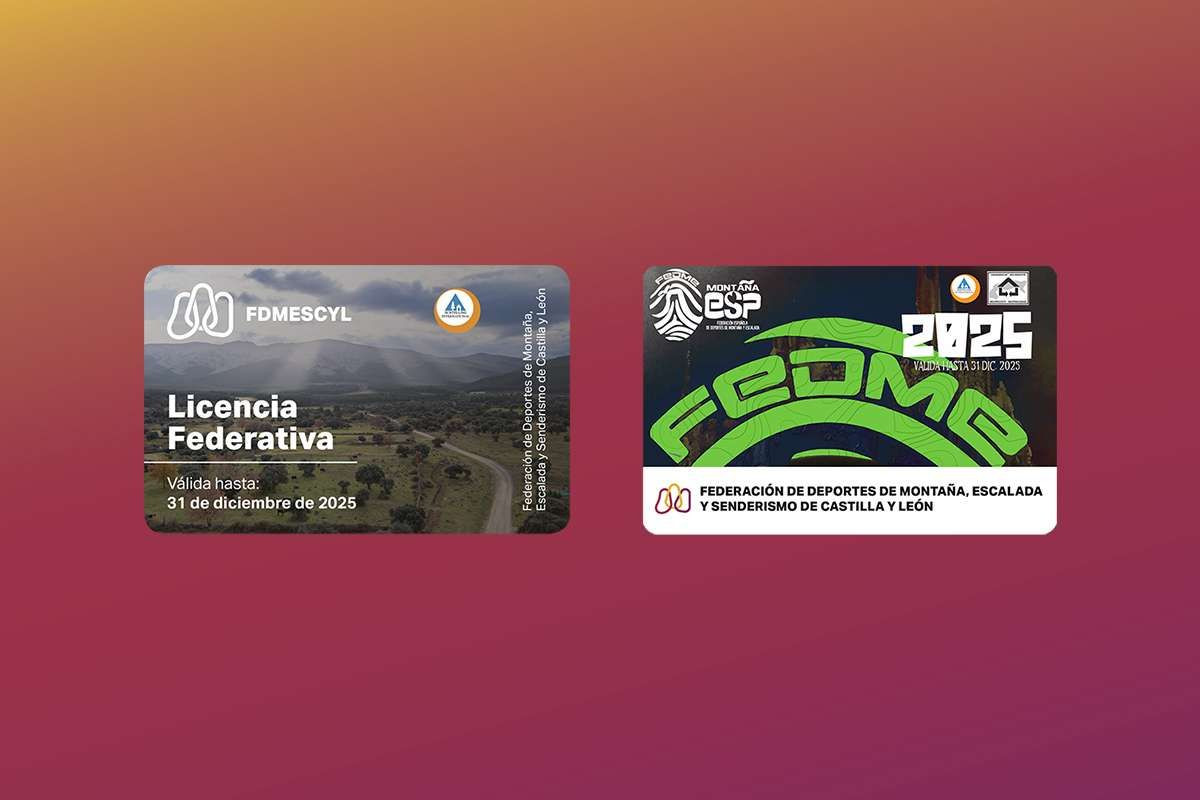 Licencias 2025