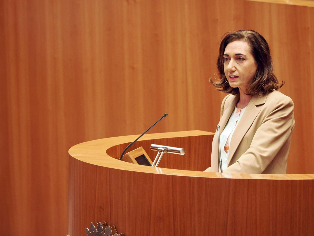 La procuradora de UPL, Alicia Gallego 5