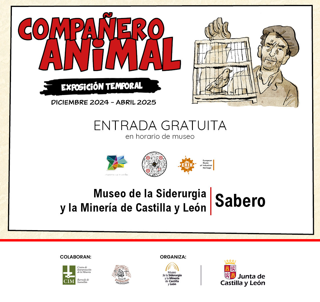 Compau00f1ero animal para web