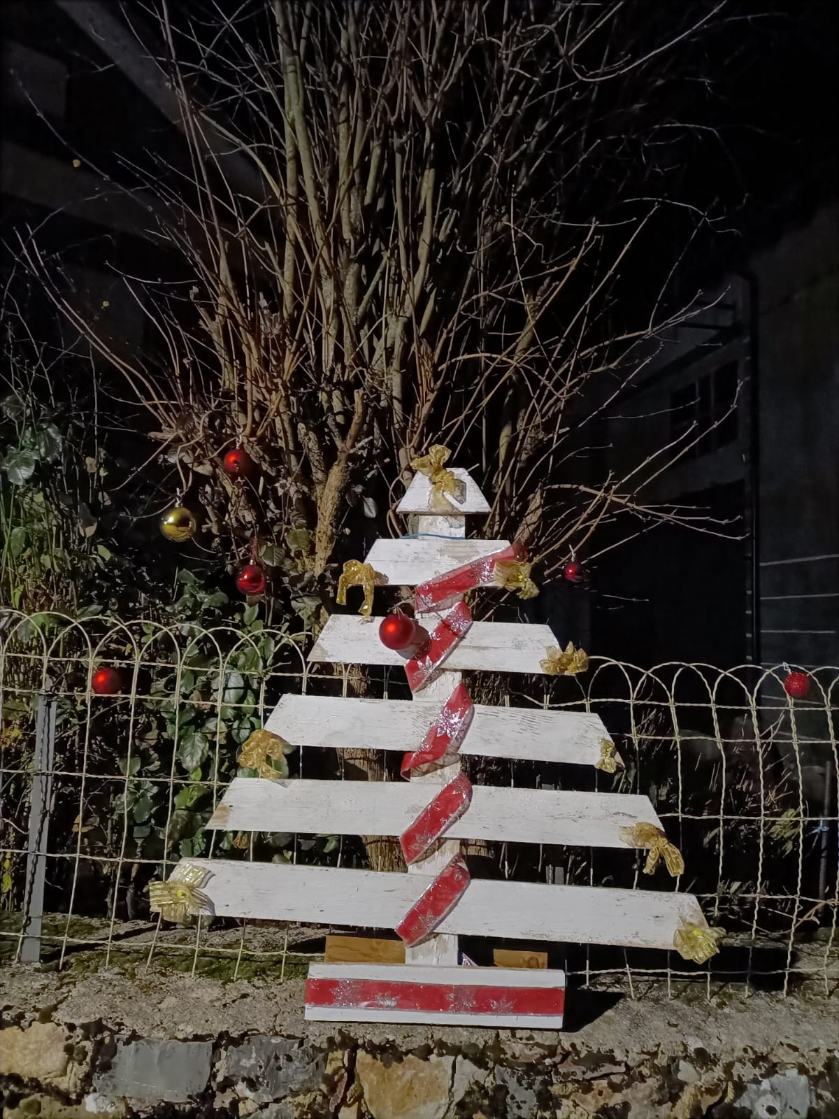 Lois Navidad 2024 8