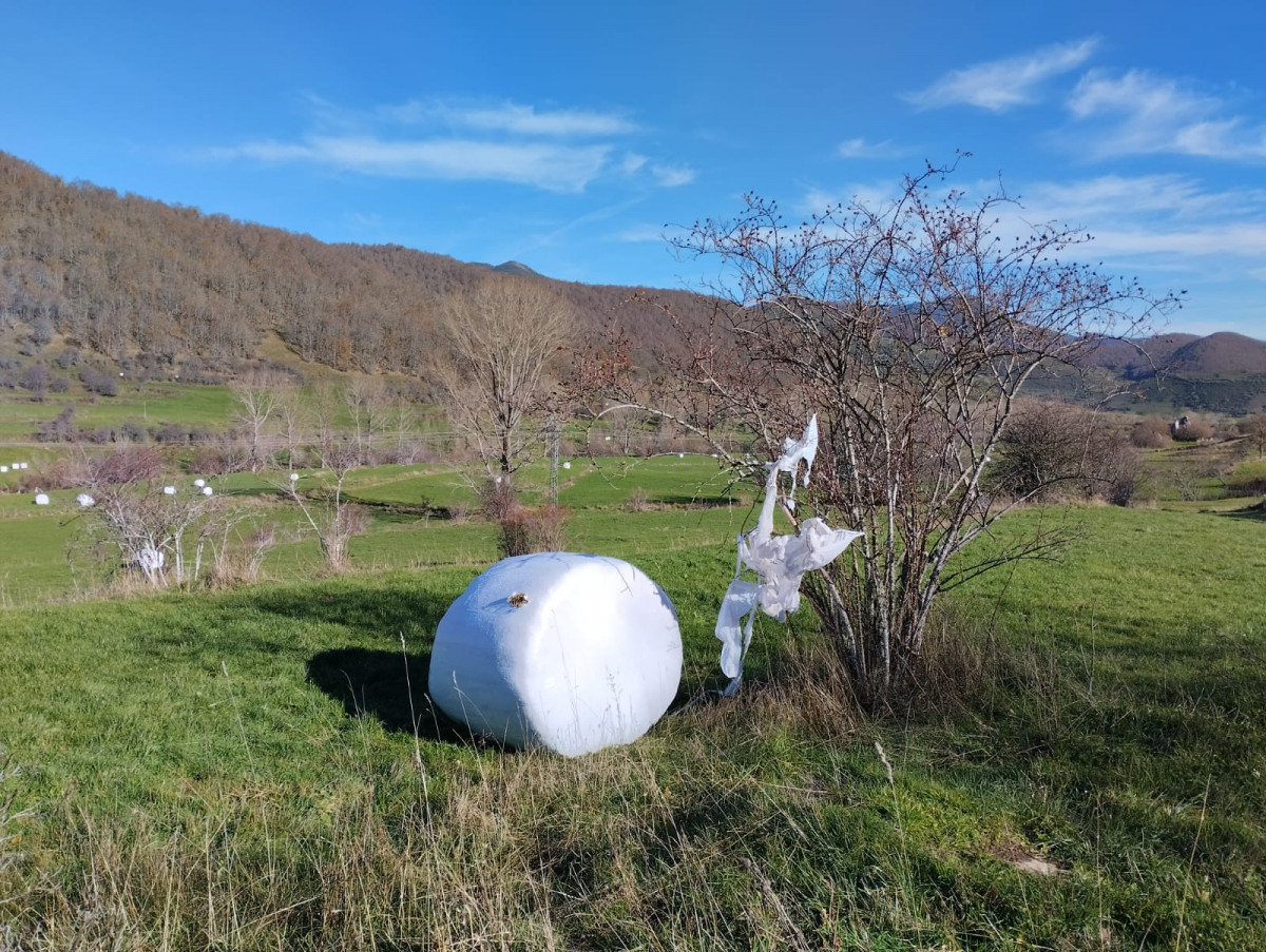 Bolas de plastico alpacas marau00f1a